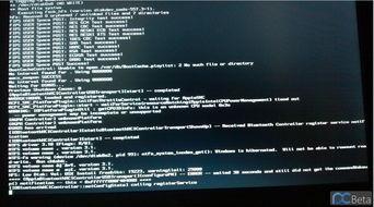 国产v片不卡在线,在线观影新体验